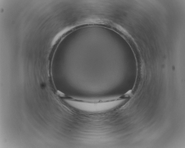 X0000075901222200610062109