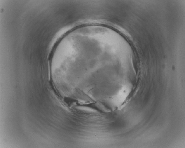 X0000075901223200610062109