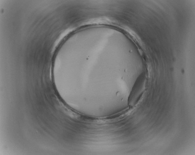 X0000075901224200610062109