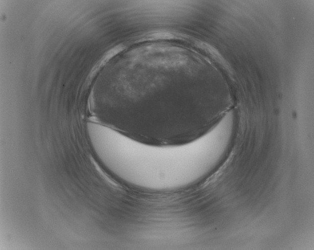 X0000075901225200610062109