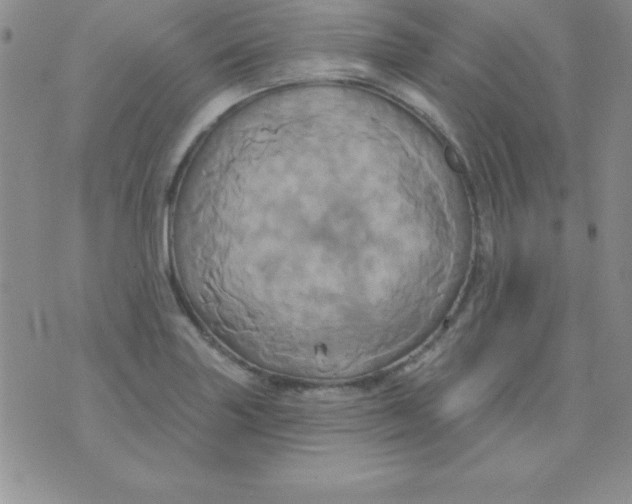 X0000075901227200610062109