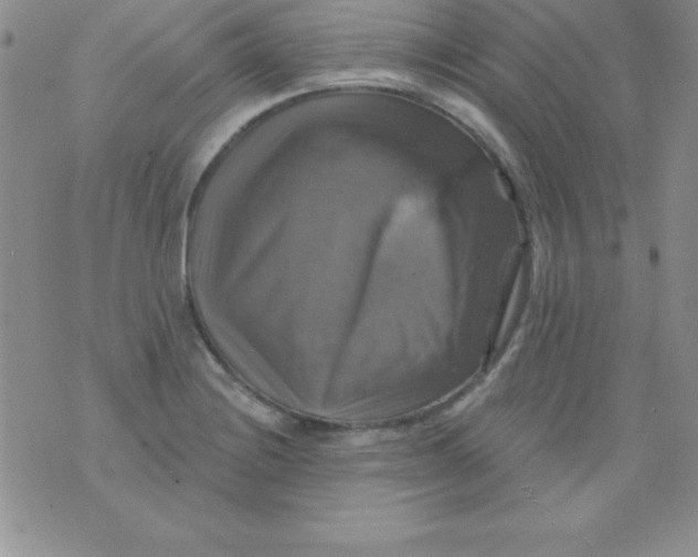 X0000075901228200610062109