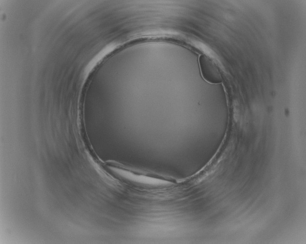 X0000075901229200610062109