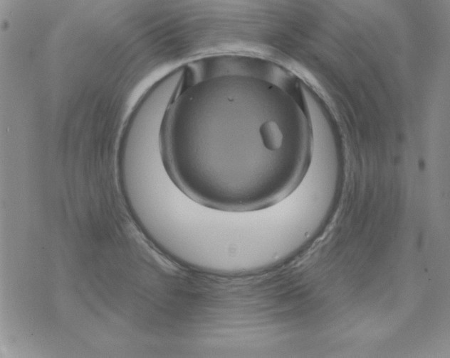 X0000075901230200610062109