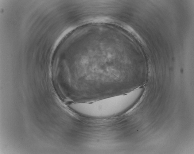 X0000075901232200610062109