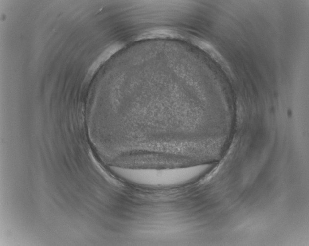 X0000075901233200610062110