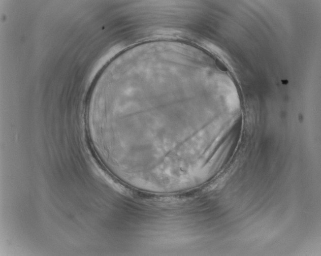 X0000075901235200610062110