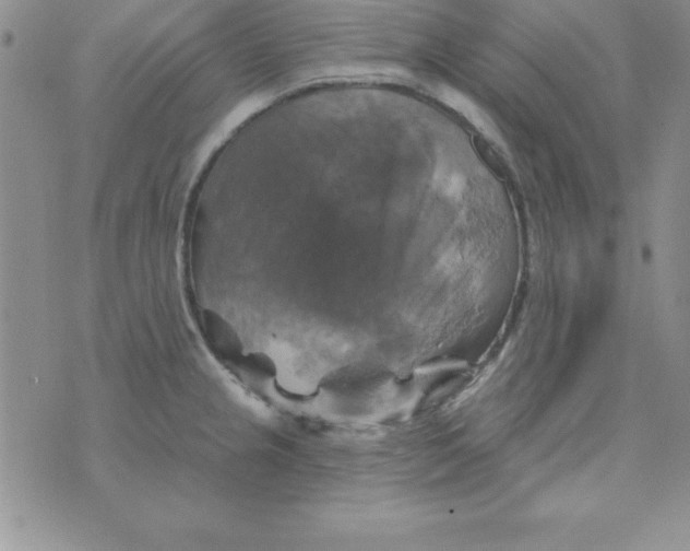 X0000075901237200610062110