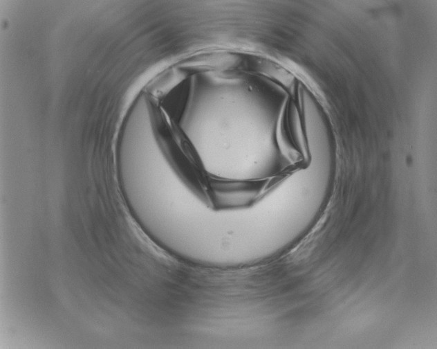 X0000075901238200610062110