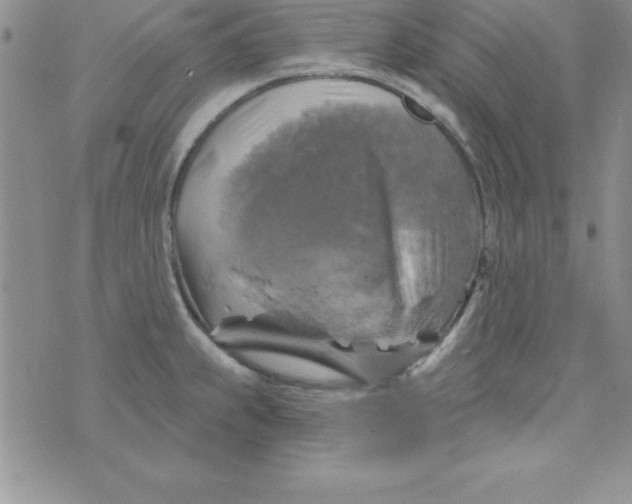 X0000075901239200610062110