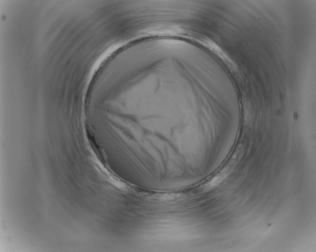 X0000075901240200610062110