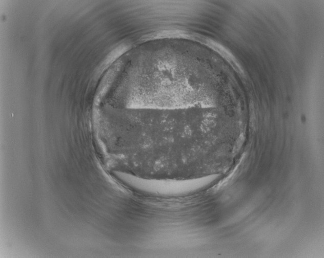 X0000075901241200610062110