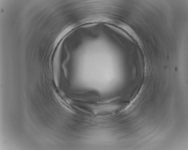 X0000075901242200610062110