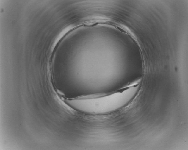 X0000075901243200610062110