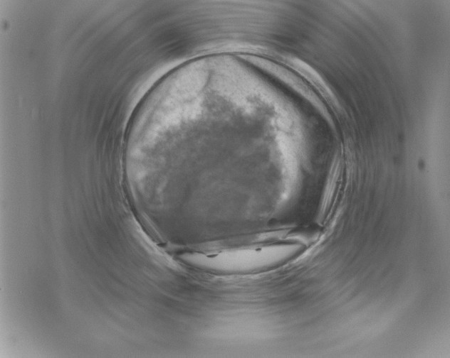 X0000075901244200610062110