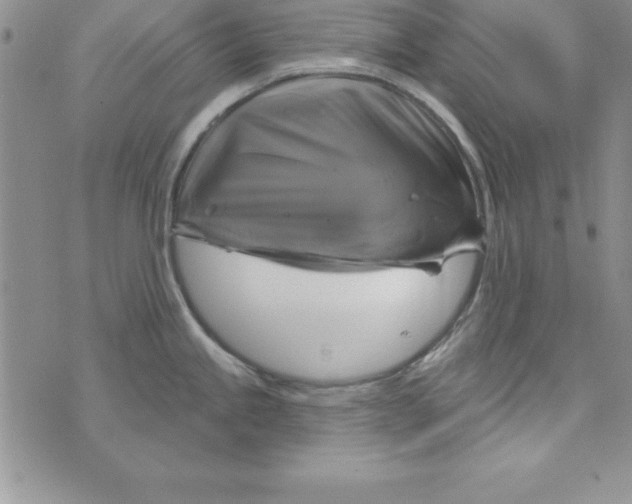 X0000075901245200610062110