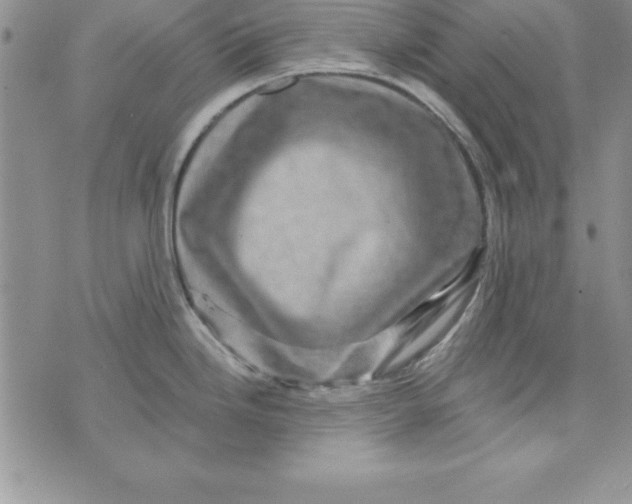 X0000075901246200610062110