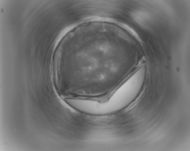 X0000075901247200610062110