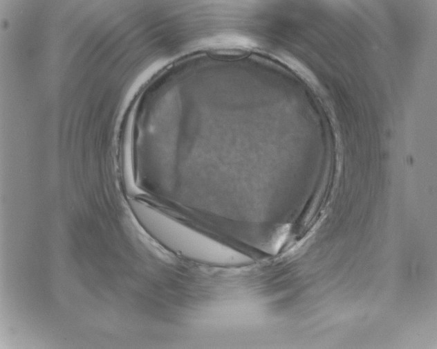 X0000075901248200610062110