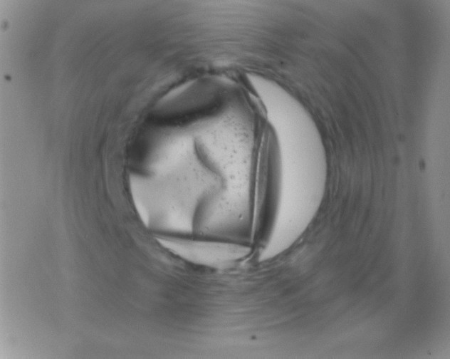 X0000075901249200610062109