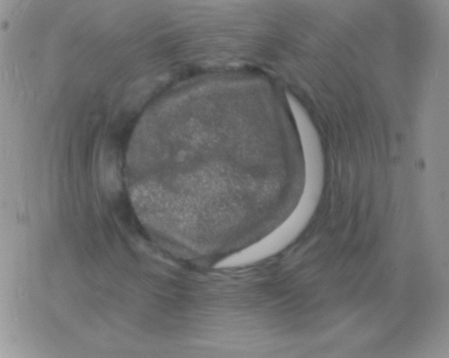 X0000075901250200610062109