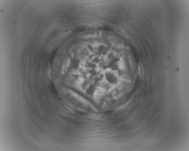 X0000075901251200610062109