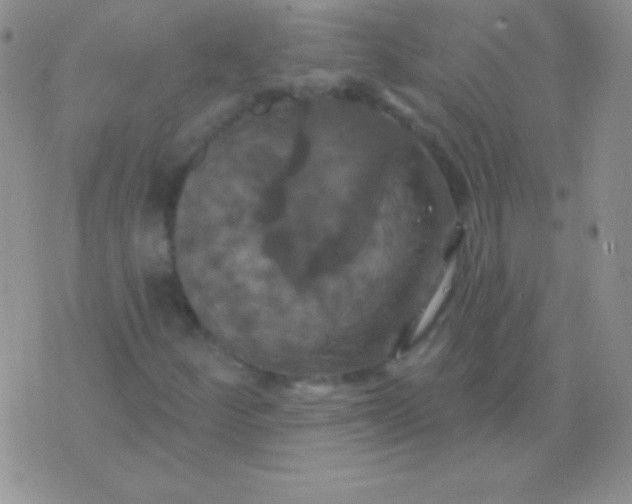 X0000075901252200610062109