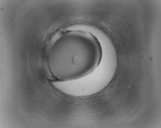 X0000075901253200610062109