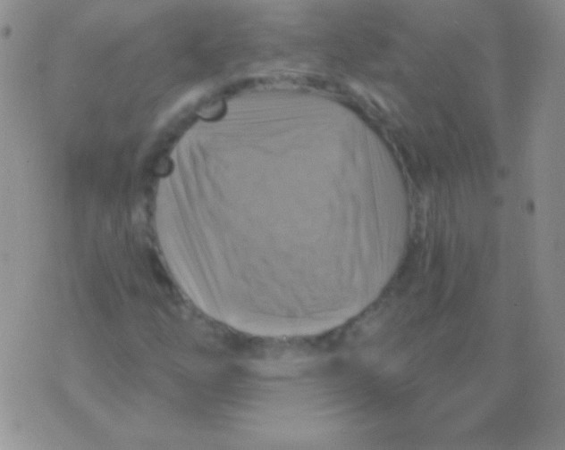 X0000075901254200610062109