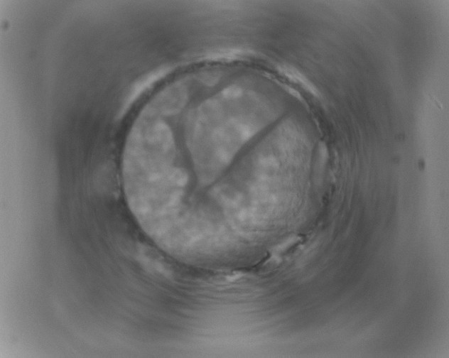 X0000075901256200610062109