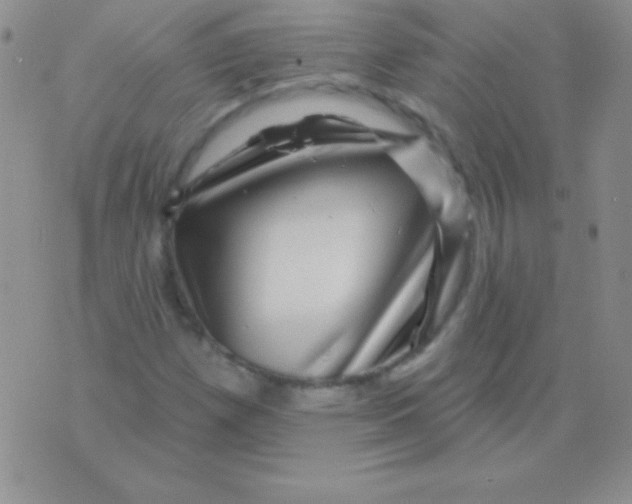 X0000075901257200610062109