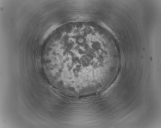 X0000075901259200610062109