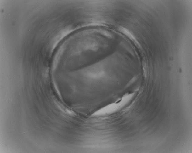 X0000075901260200610062109