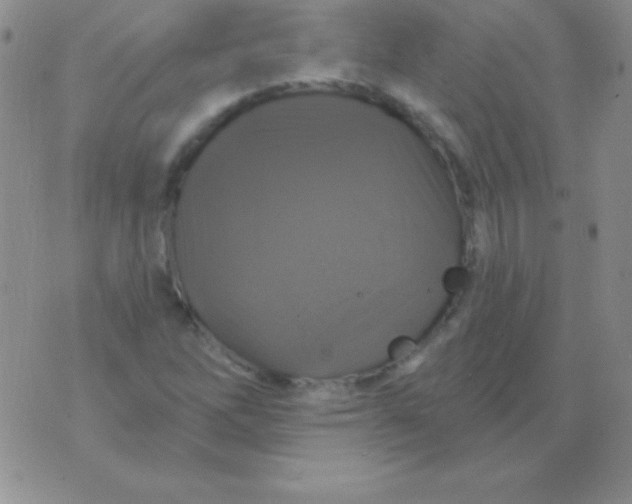 X0000075901262200610062109