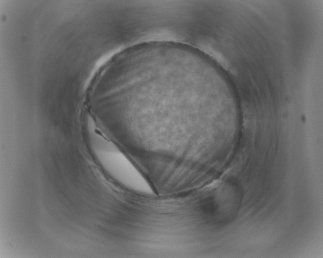 X0000075901264200610062109