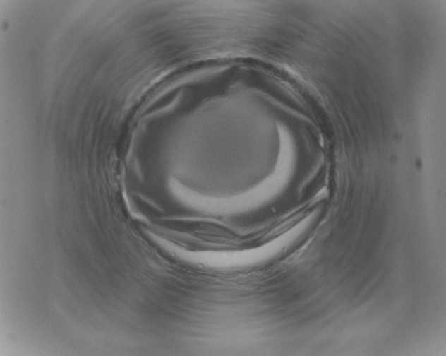 X0000075901265200610062109