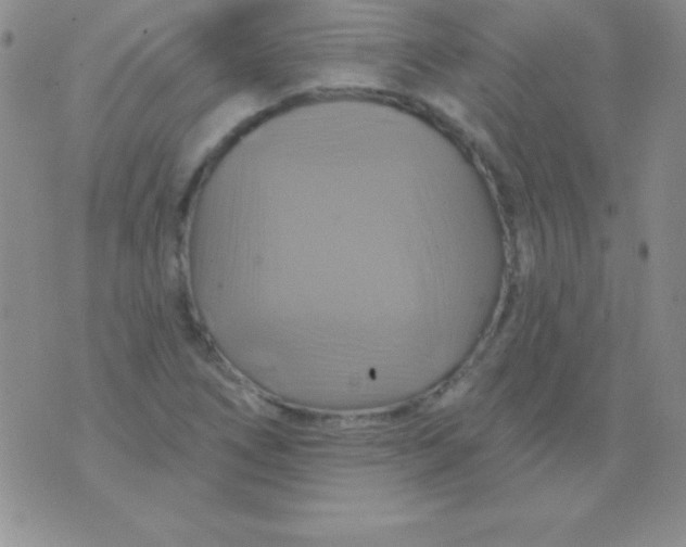 X0000075901266200610062109