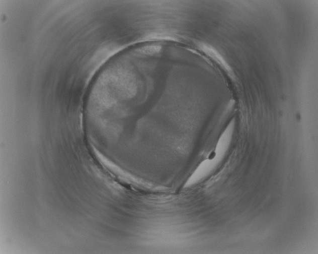 X0000075901268200610062109