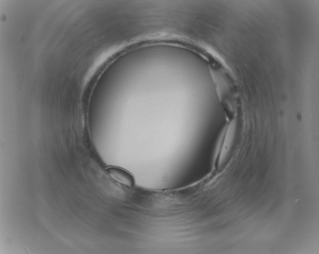 X0000075901270200610062109