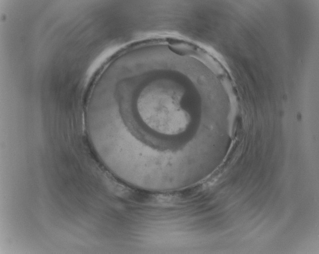 X0000075901271200610062109