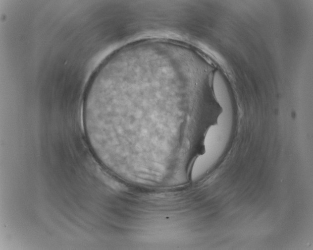 X0000075901272200610062109