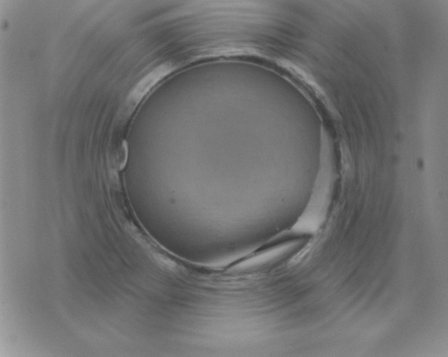 X0000075901273200610062109