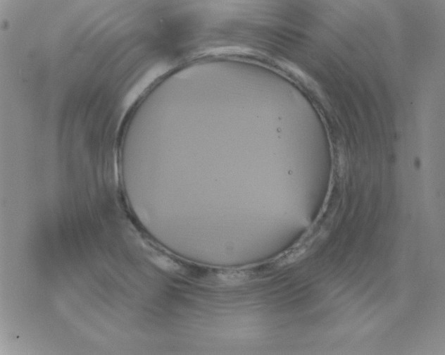 X0000075901274200610062109