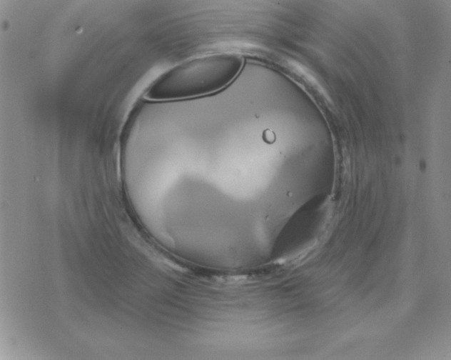 X0000075901275200610062109