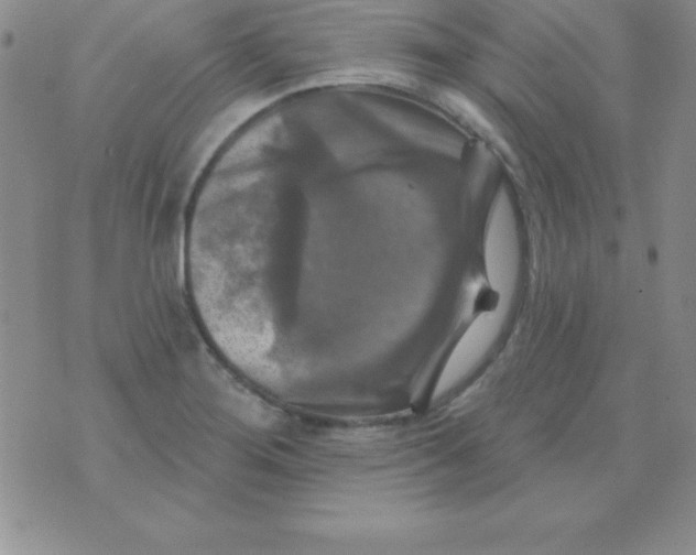 X0000075901276200610062109