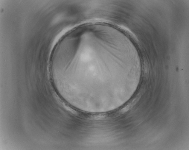 X0000075901278200610062108