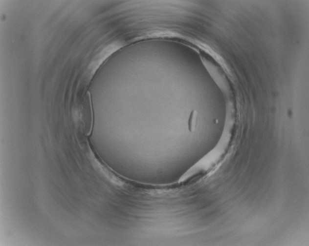 X0000075901281200610062108