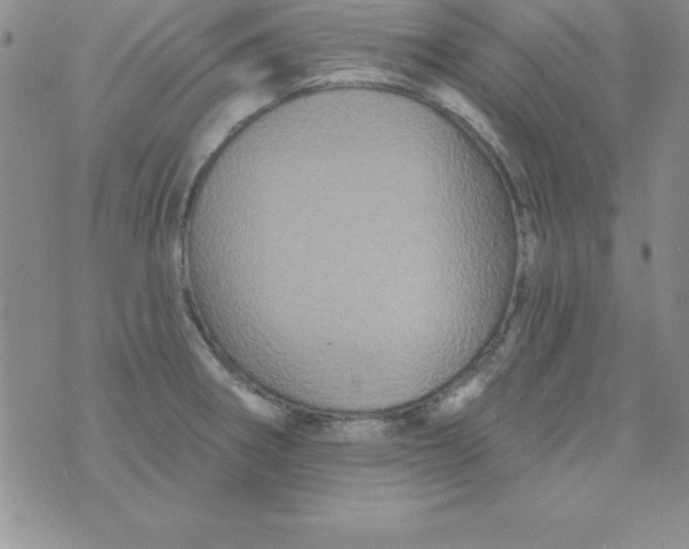 X0000075901282200610062108