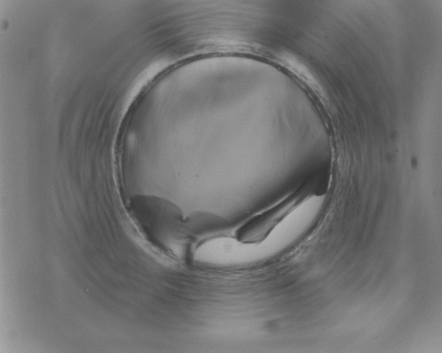 X0000075901283200610062108