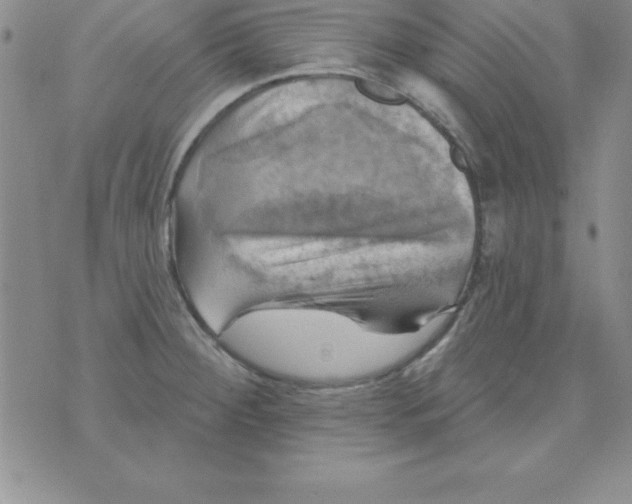 X0000075901284200610062108